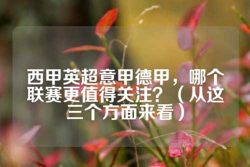 他时