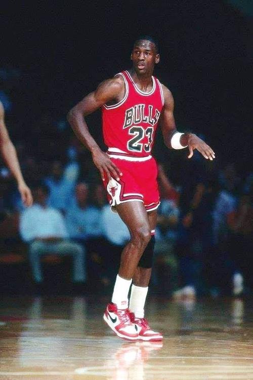 一众实力强 一众实力强