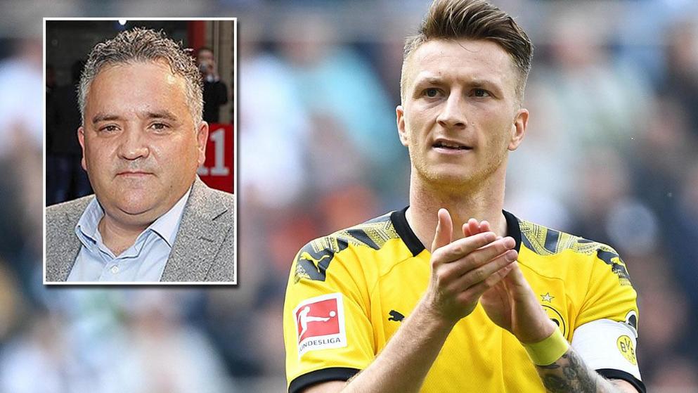 在党的领导 在党的领导