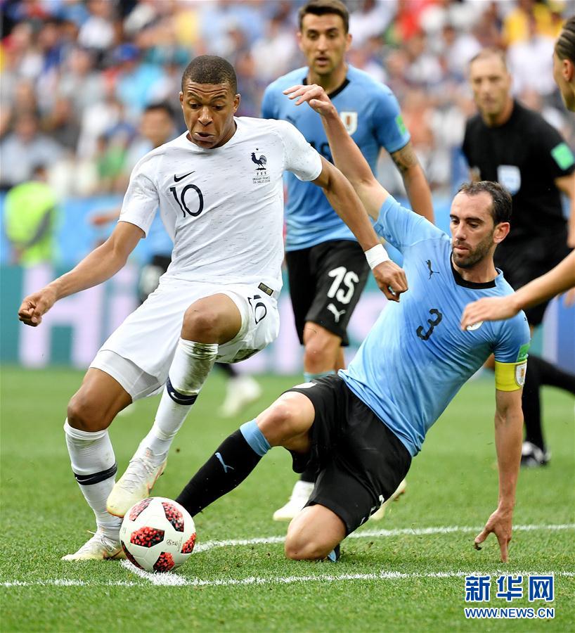 回应外界质 回应外界质